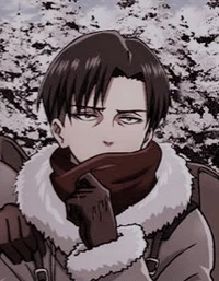 Levi Ackerman - 11