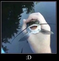Ideas