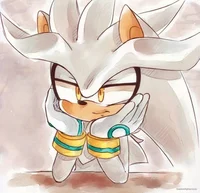 Silver The Hedgehog 