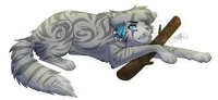 Jayfeather