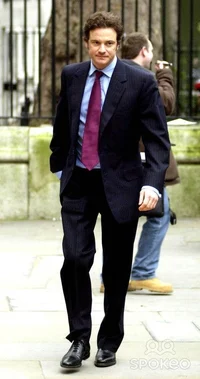 Mark Darcy 