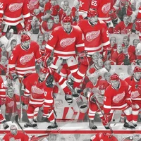 Red Wings