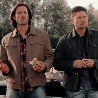 THE WINCHESTERS