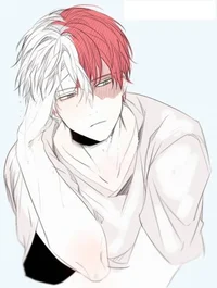 Shoto Todoroki 