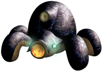 Armoredcannon Beetle