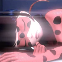 Ladybug - Marinette