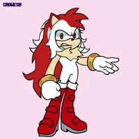 Hikari the hedgehog 