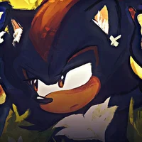Shadow The Hedgehog