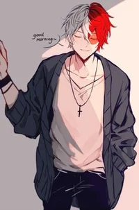 Shoto Todoroki 