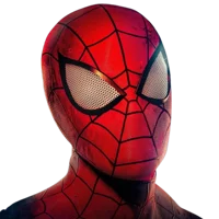 The Web-Slinger