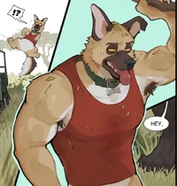 Mike German shepherd