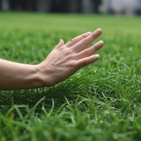 Touch Grass Sim
