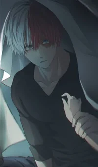 Shoto Todoroki 