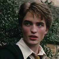 Cedric Digory 