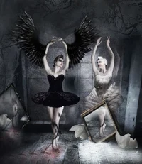 GT - Black swan