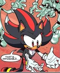 Shadow The Hedgehog