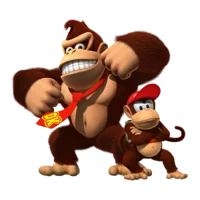 DK and Diddy Kong