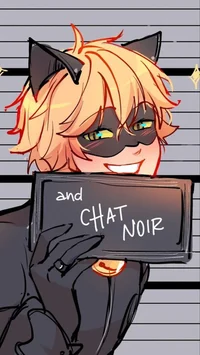 Cat Noir
