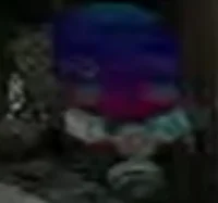 Halal lie Le Combine