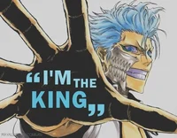 Grimmjow yet again 