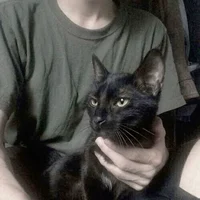 ATYD Regulus A Black