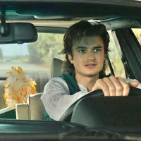 Steve Harrington 