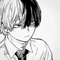 Mha- Shoto Todoroki