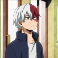 Shoto Todoroki 