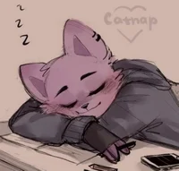 Catnap