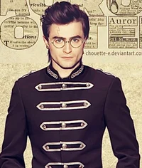 Head Auror Potter