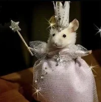 The Rat Queen