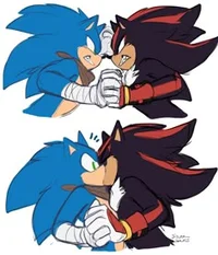 Shadow and sonic