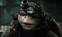 BAYVERSE Donatello