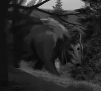 Forest Beast - TSRvn