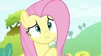 Fluttershy