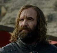 Sandor The Hound