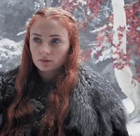 Sansa S