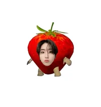 stray kids gc