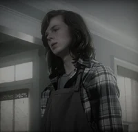 carl grimes