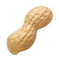 Motivational Peanut