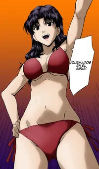 Misato katsuragi 