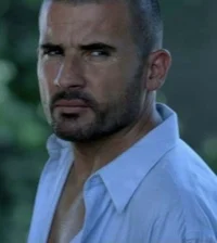 Lincoln Burrows 
