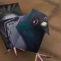 Ran 00 files