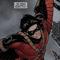 DC Tim Drake 