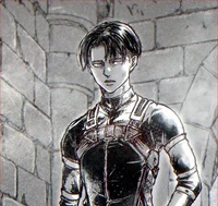 Levi Ackerman 