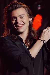 Harry Styles 