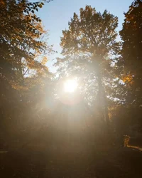 Переплетение