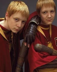 Gemelos weasly 