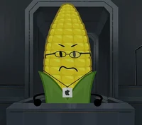 Steve cobs