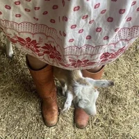 Country life